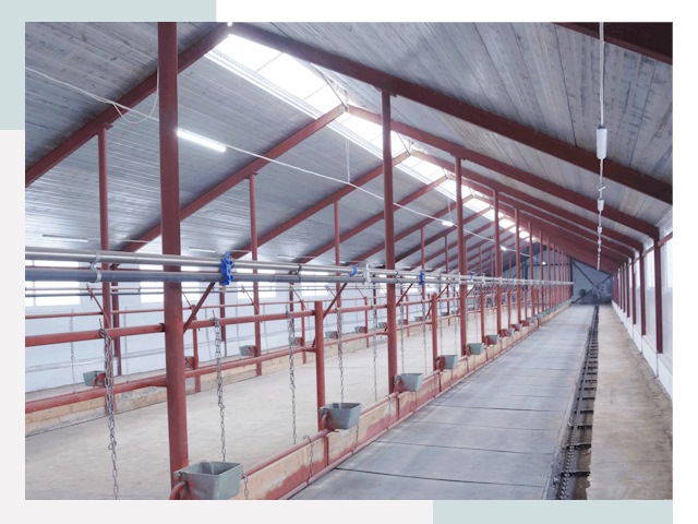 Строительство коровников в Березниках от 618 руб.