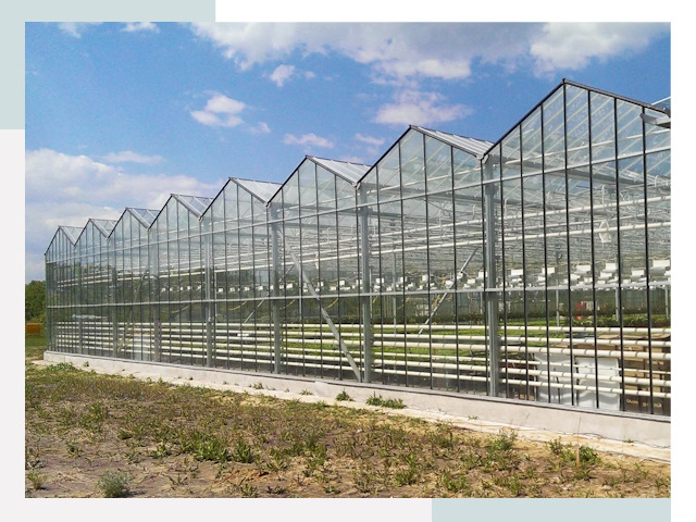 Строительство теплиц в Березники от 618 руб. за м²